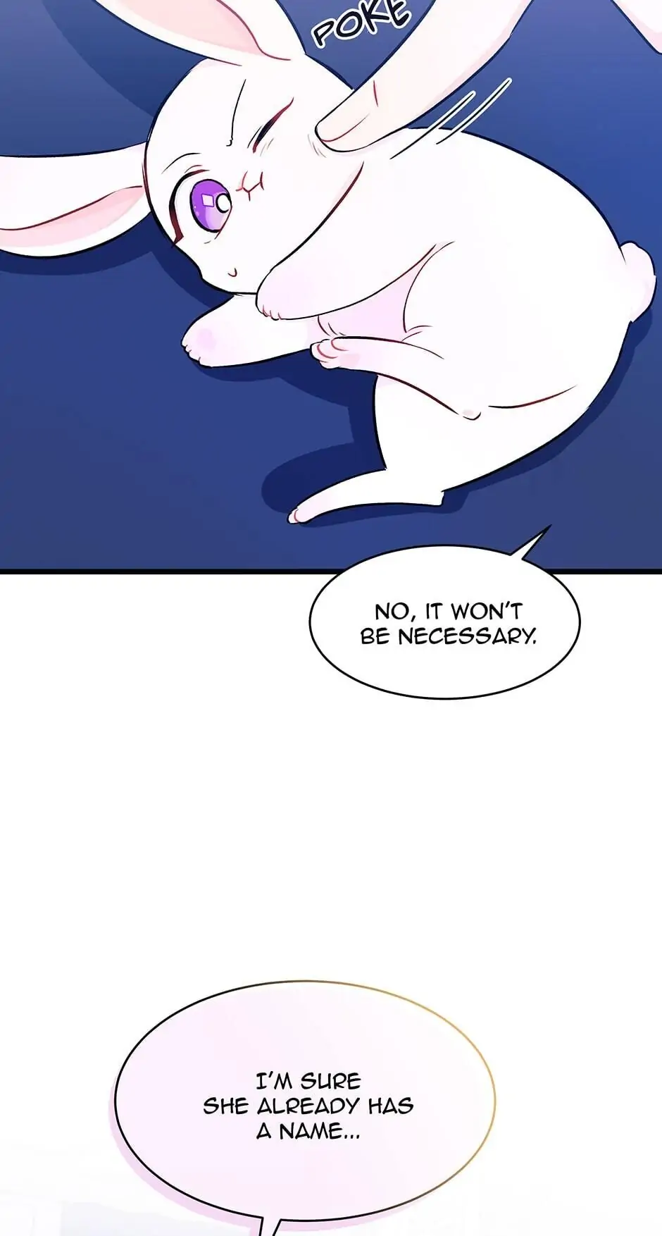 Read The Symbiotic Relationship Between the Rabbit and the Black Panther En Manga Online