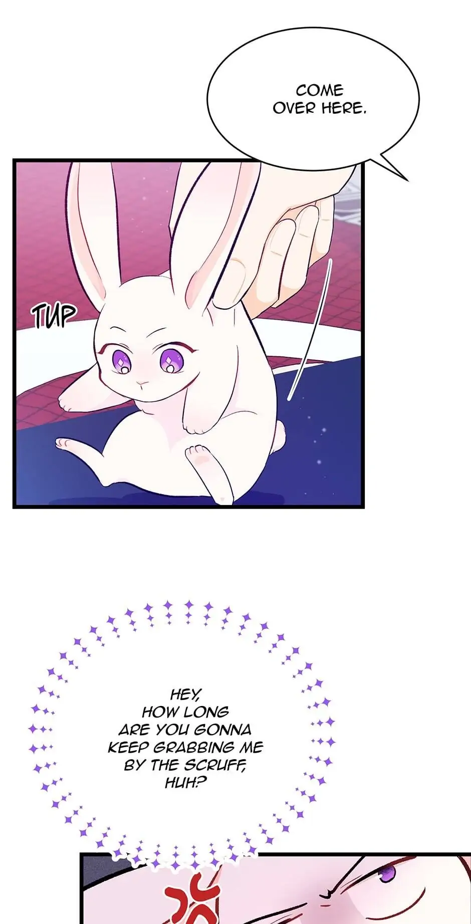 Read The Symbiotic Relationship Between the Rabbit and the Black Panther En Manga Online