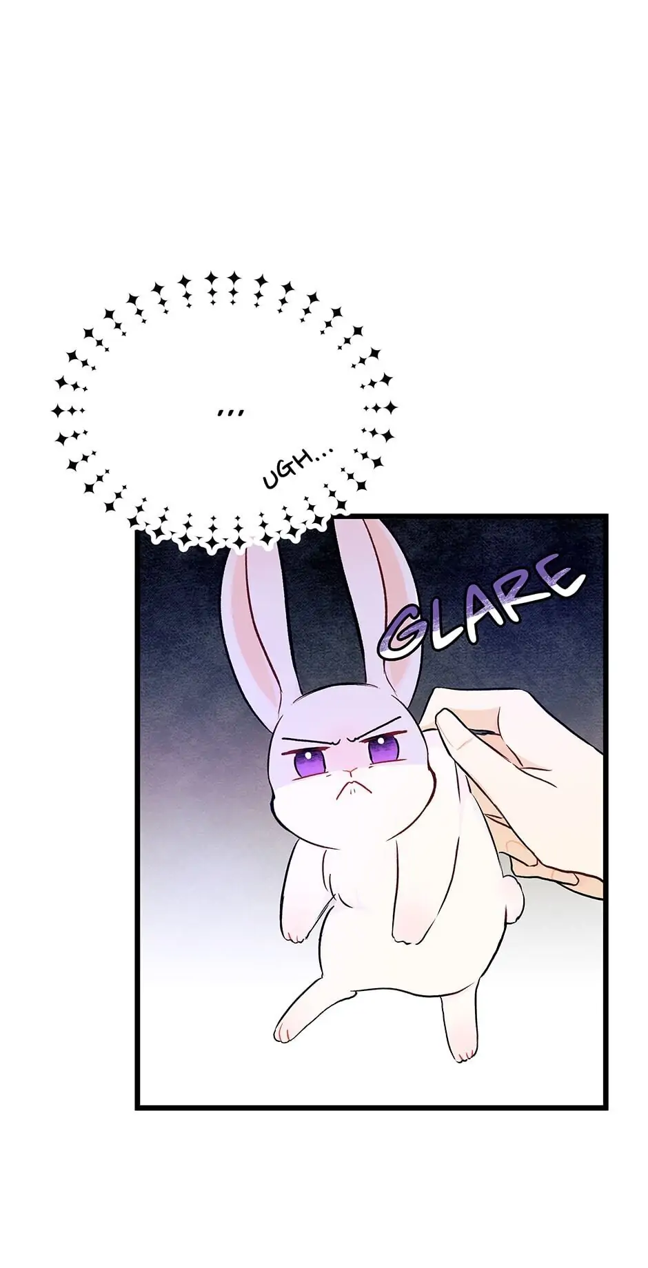 Read The Symbiotic Relationship Between the Rabbit and the Black Panther En Manga Online