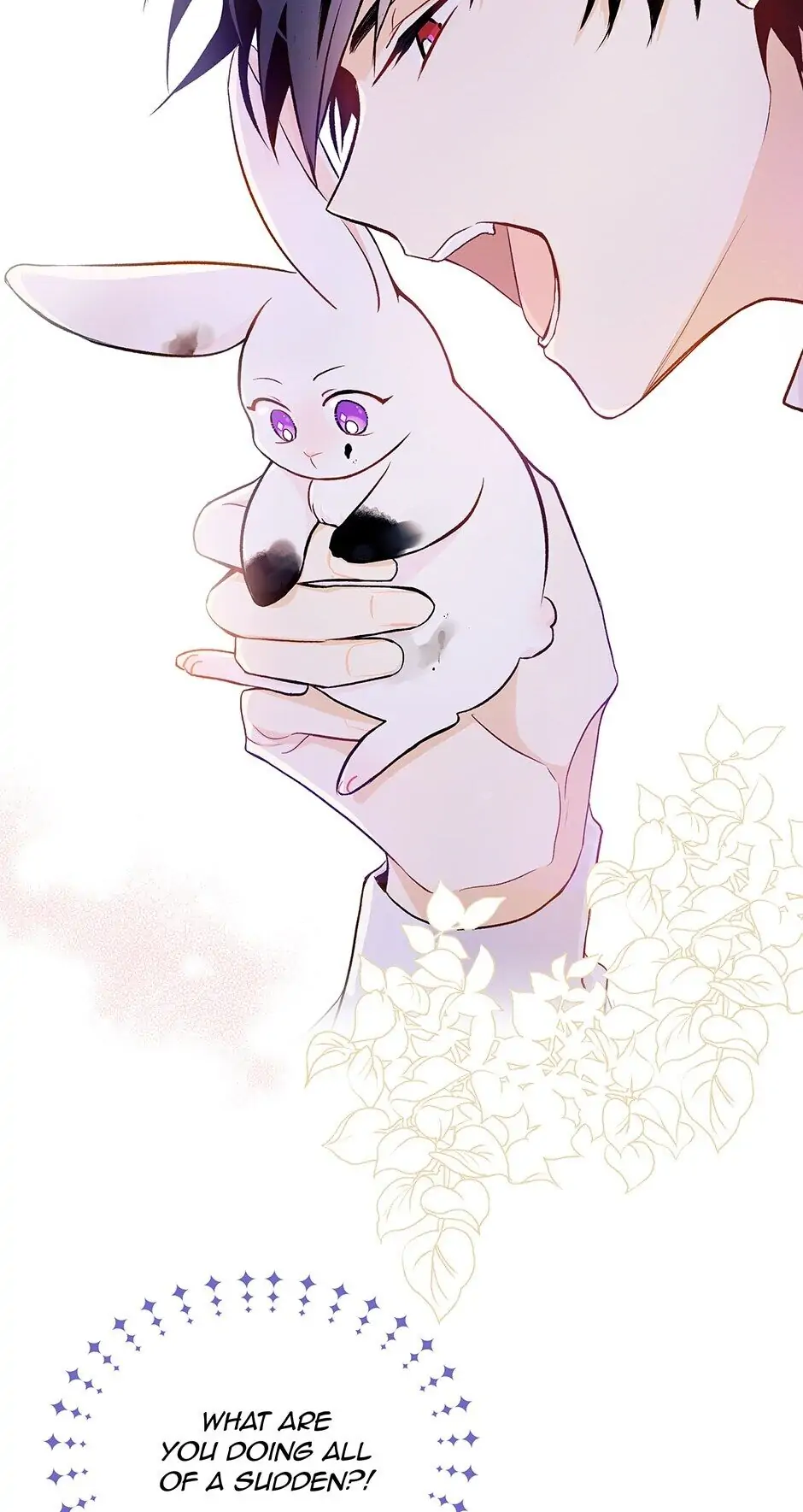 Read The Symbiotic Relationship Between the Rabbit and the Black Panther En Manga Online