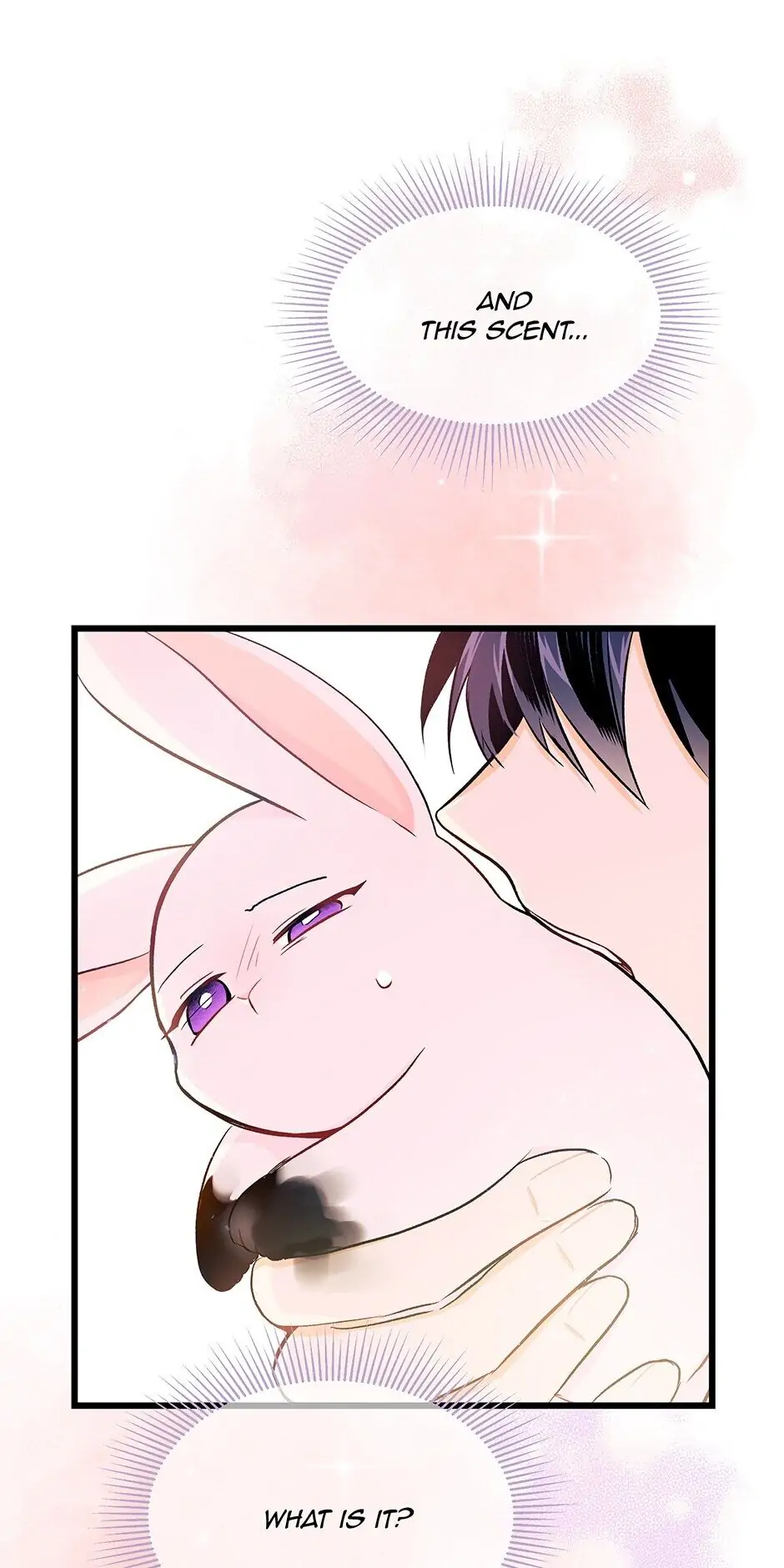 Read The Symbiotic Relationship Between the Rabbit and the Black Panther En Manga Online