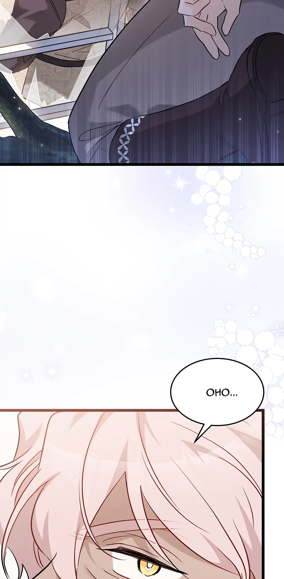 Read The Symbiotic Relationship Between the Rabbit and the Black Panther En Manga Online