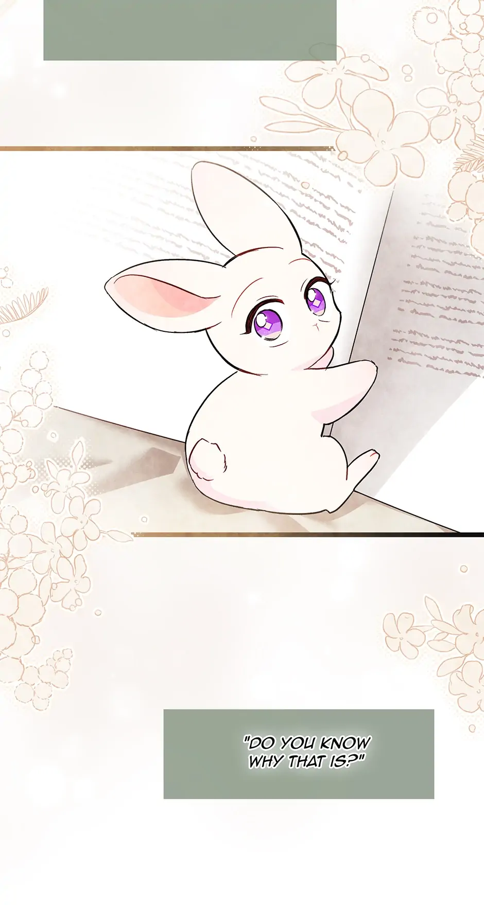 Read The Symbiotic Relationship Between the Rabbit and the Black Panther En Manga Online