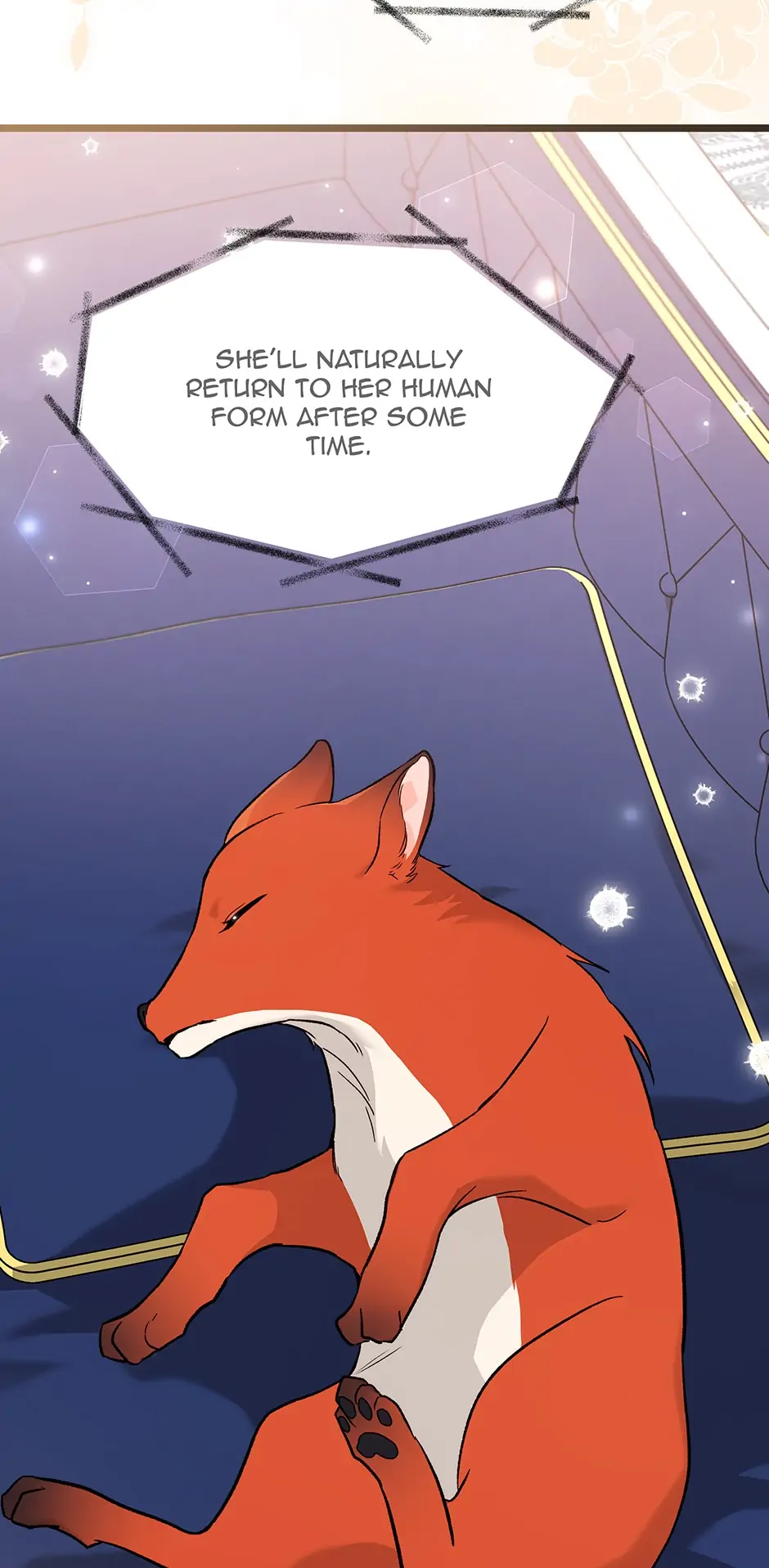 Read The Symbiotic Relationship Between the Rabbit and the Black Panther En Manga Online