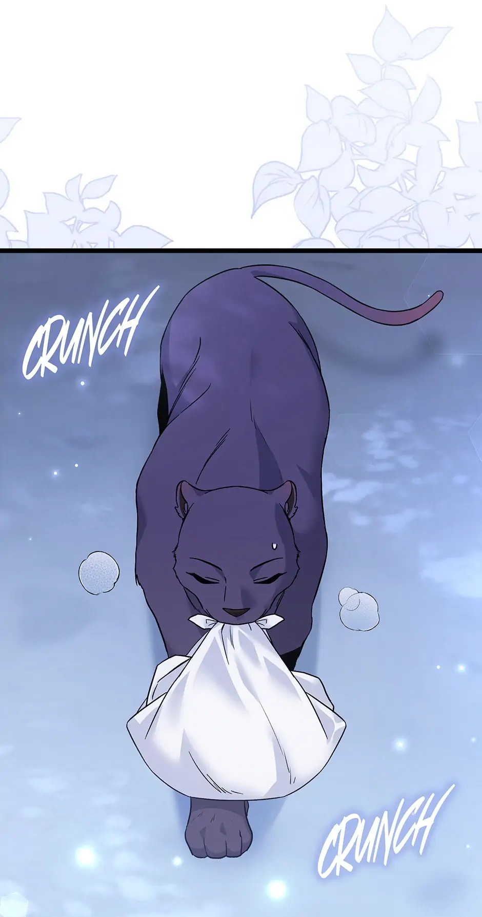Read The Symbiotic Relationship Between the Rabbit and the Black Panther En Manga Online