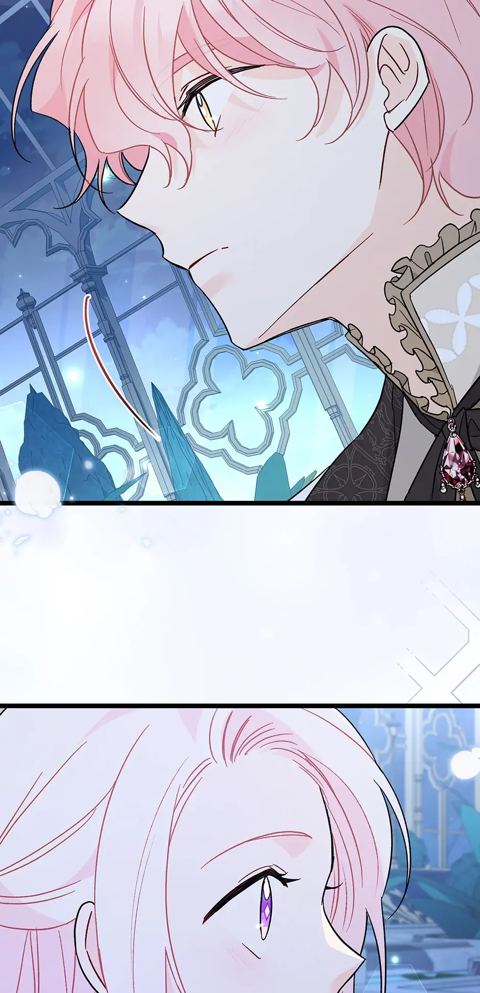 Read The Symbiotic Relationship Between the Rabbit and the Black Panther En Manga Online
