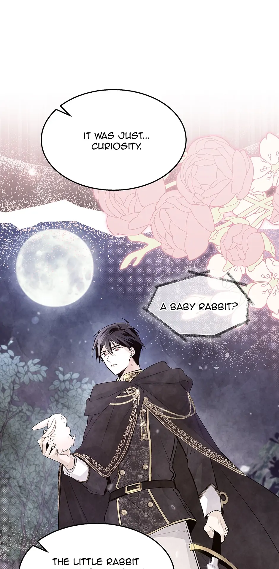 Read The Symbiotic Relationship Between the Rabbit and the Black Panther En Manga Online