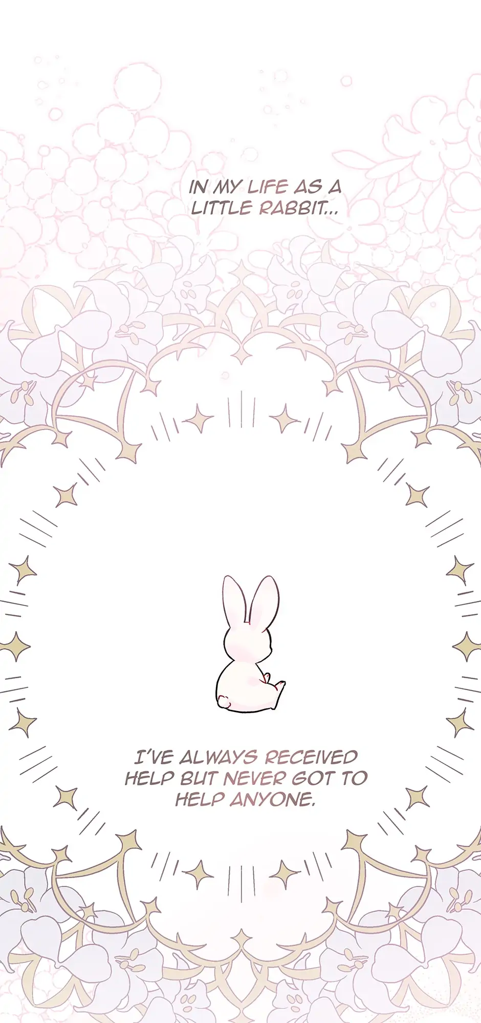 Read The Symbiotic Relationship Between the Rabbit and the Black Panther En Manga Online