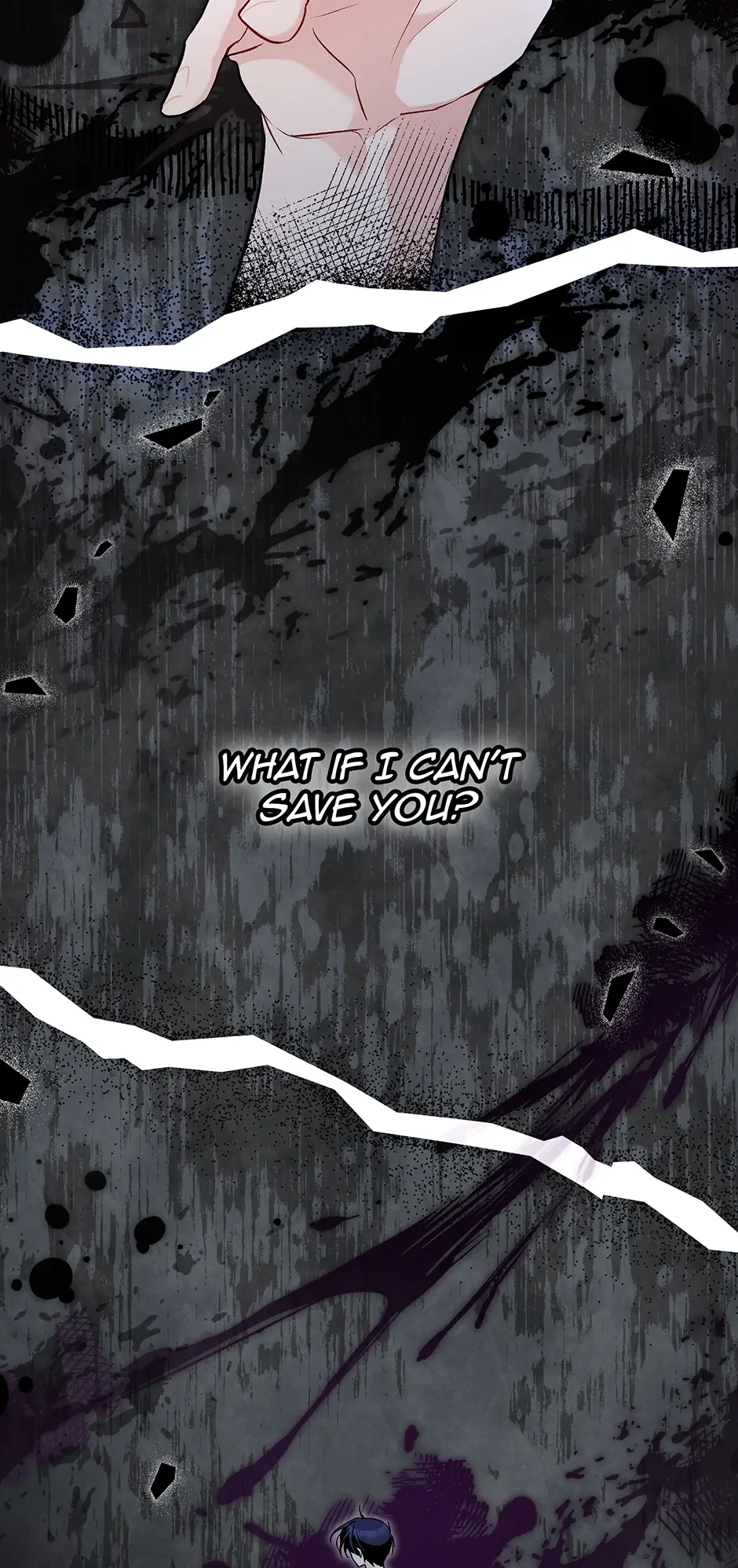 Read The Symbiotic Relationship Between the Rabbit and the Black Panther En Manga Online