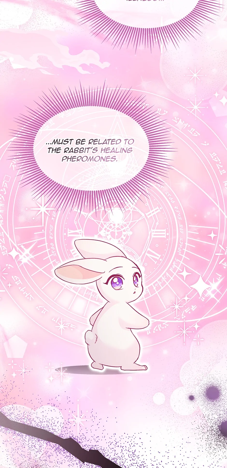 Read The Symbiotic Relationship Between the Rabbit and the Black Panther En Manga Online