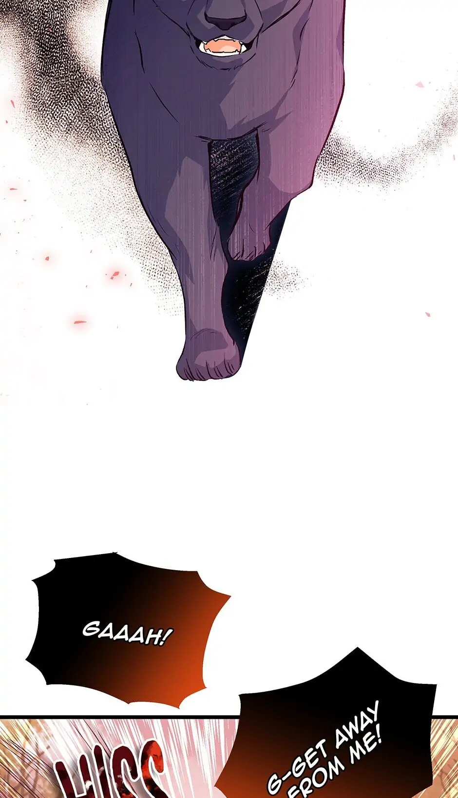 Read The Symbiotic Relationship Between the Rabbit and the Black Panther En Manga Online