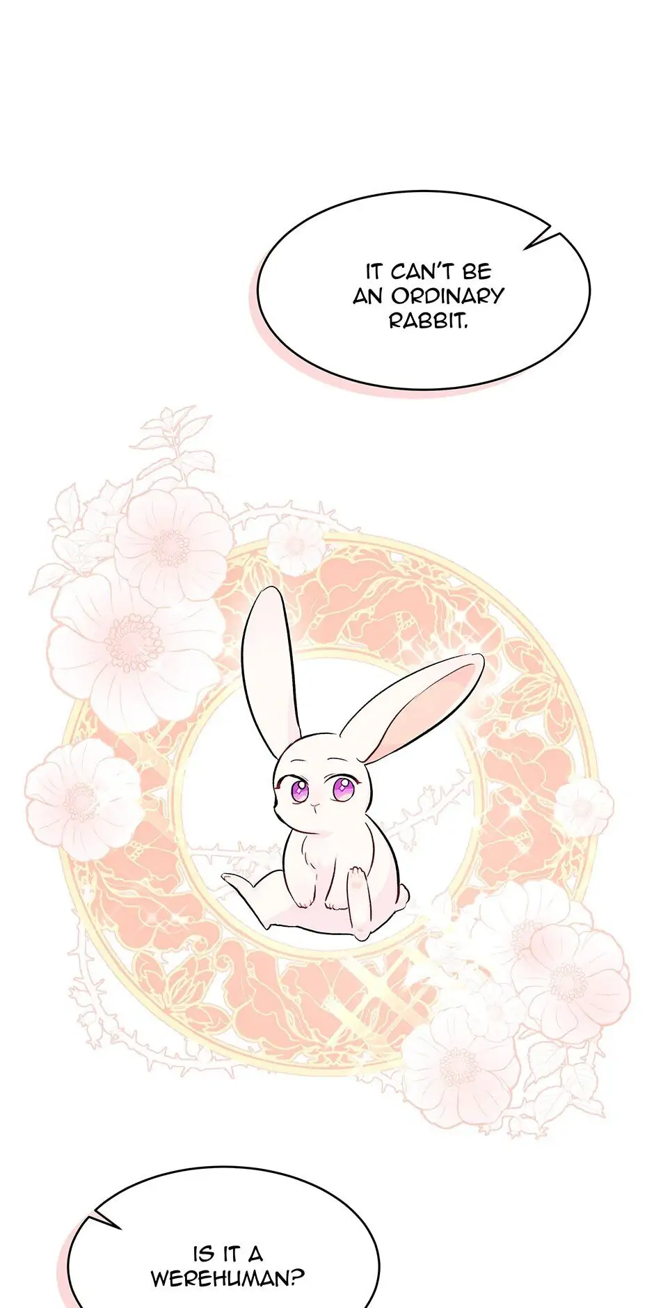Read The Symbiotic Relationship Between the Rabbit and the Black Panther En Manga Online