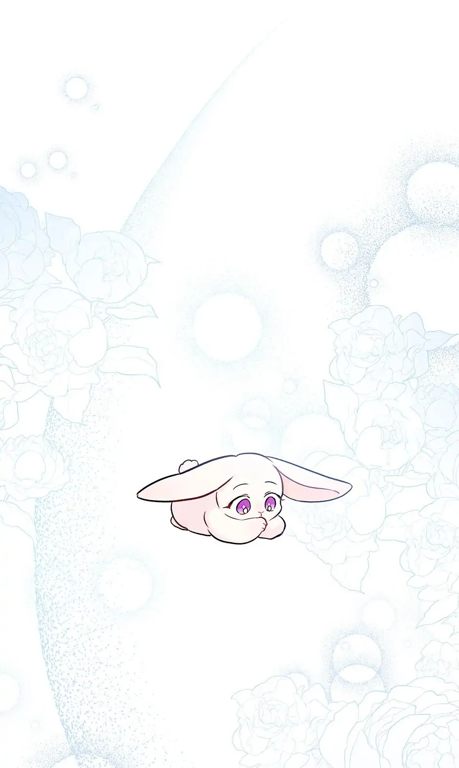 Read The Symbiotic Relationship Between the Rabbit and the Black Panther En Manga Online