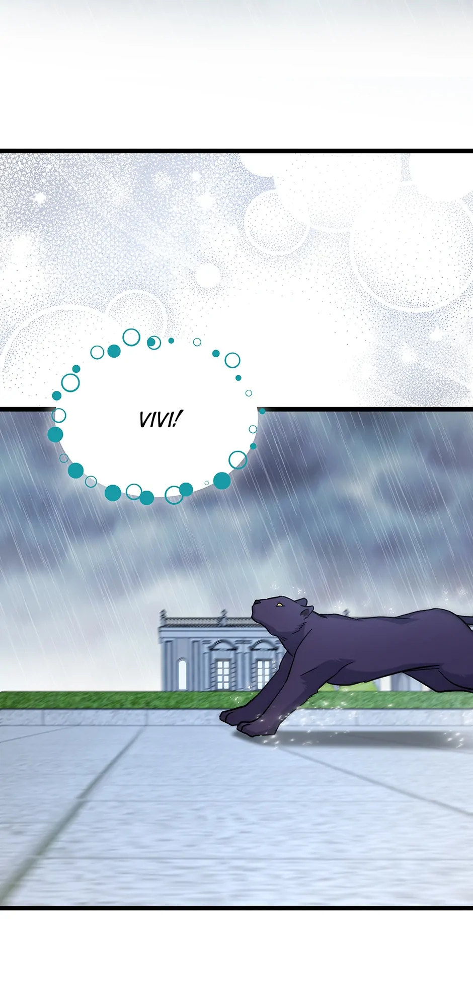 Read The Symbiotic Relationship Between the Rabbit and the Black Panther En Manga Online