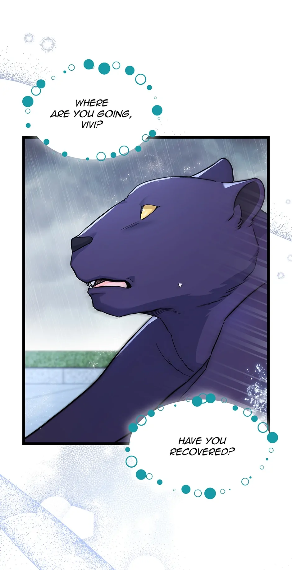 Read The Symbiotic Relationship Between the Rabbit and the Black Panther En Manga Online