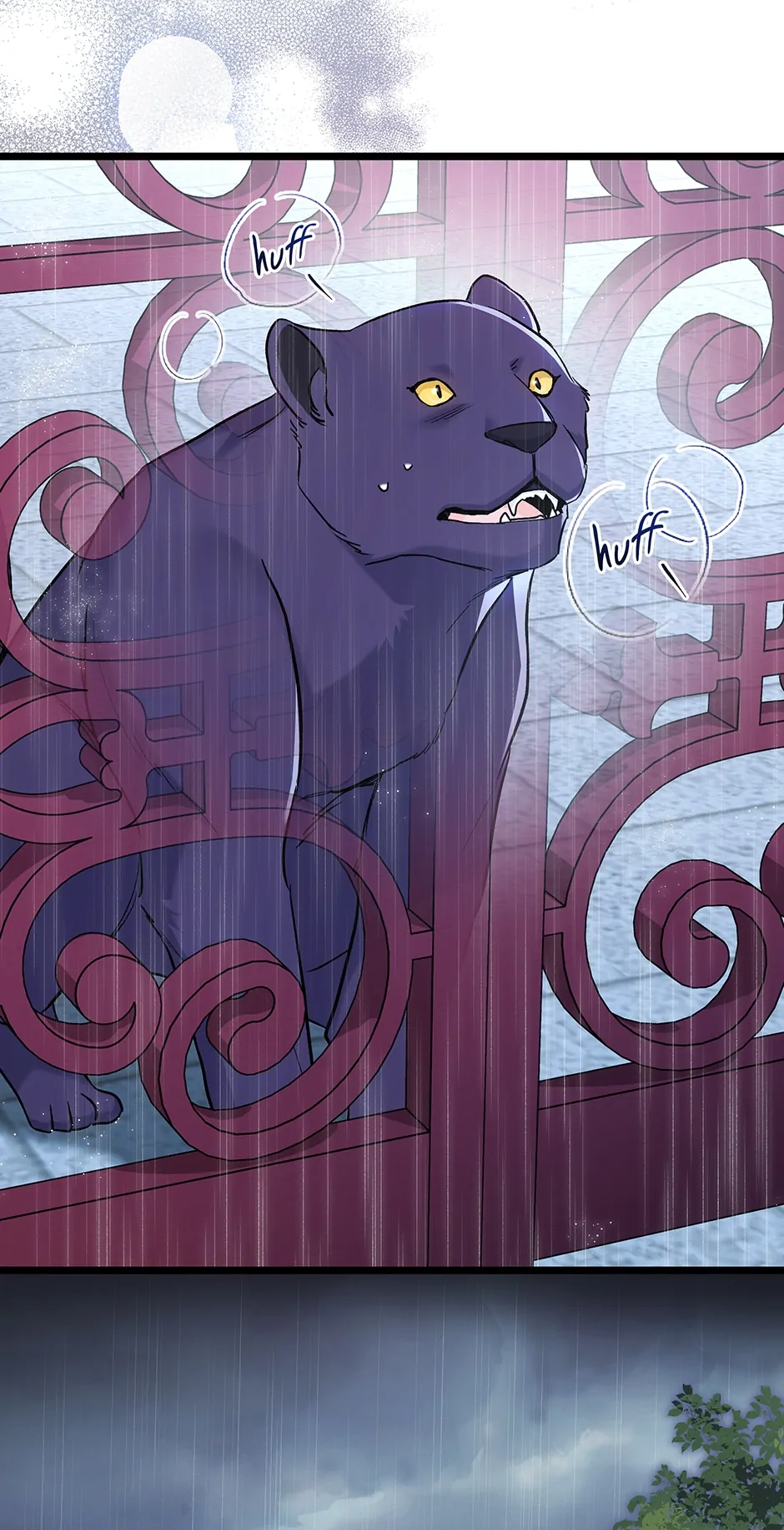 Read The Symbiotic Relationship Between the Rabbit and the Black Panther En Manga Online