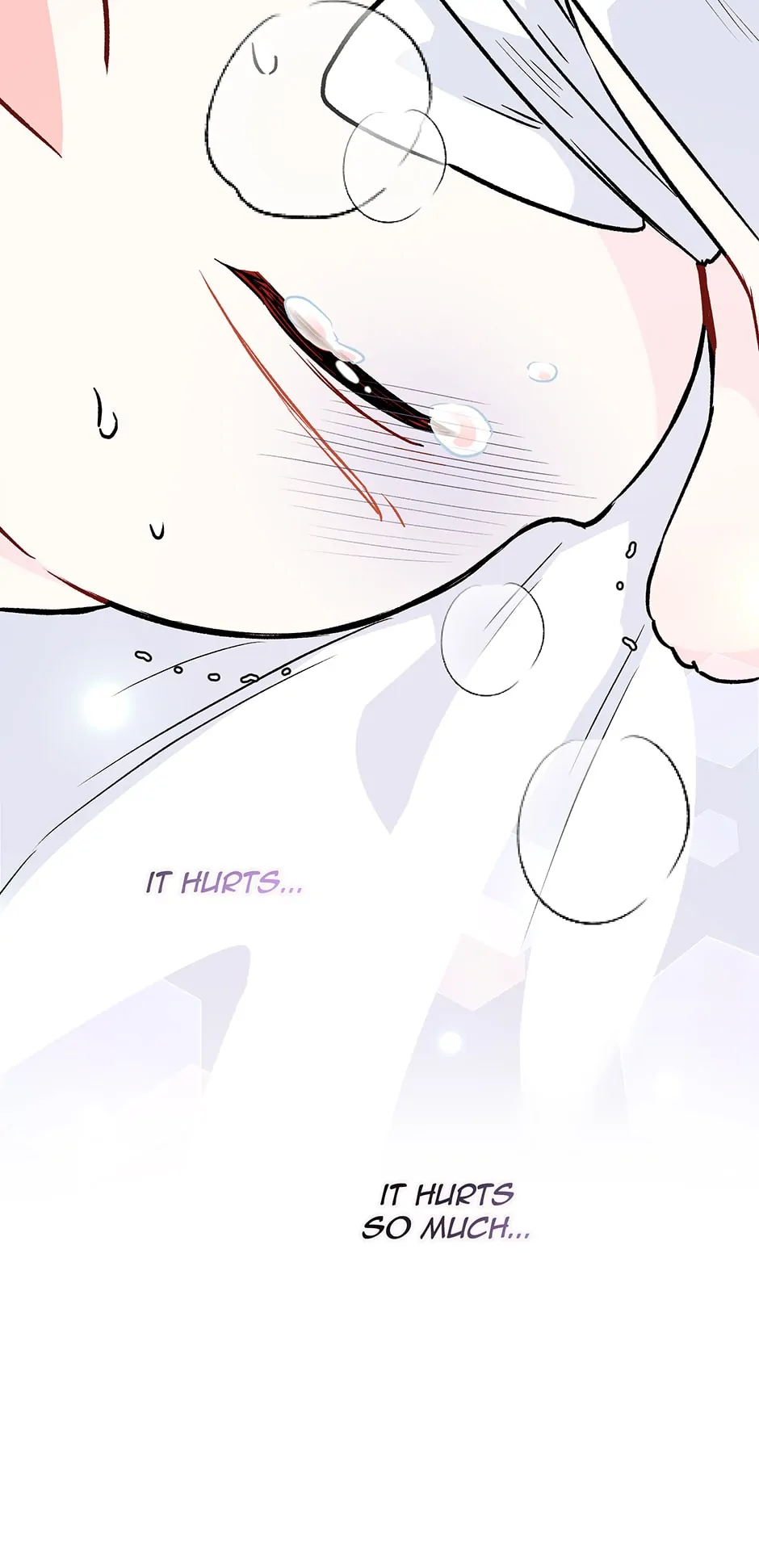 Read The Symbiotic Relationship Between the Rabbit and the Black Panther En Manga Online
