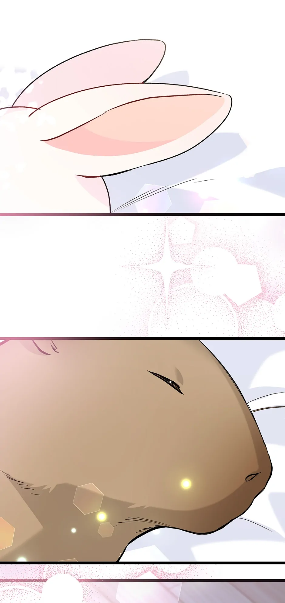 Read The Symbiotic Relationship Between the Rabbit and the Black Panther En Manga Online