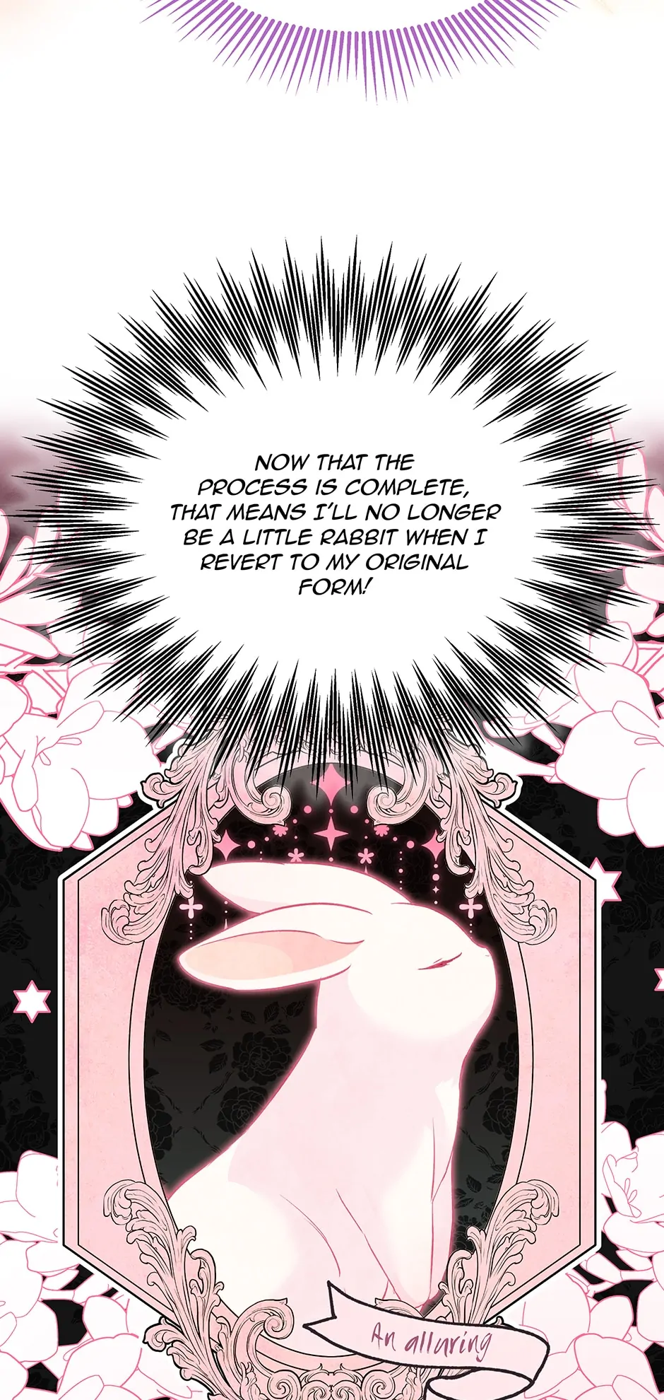 Read The Symbiotic Relationship Between the Rabbit and the Black Panther En Manga Online