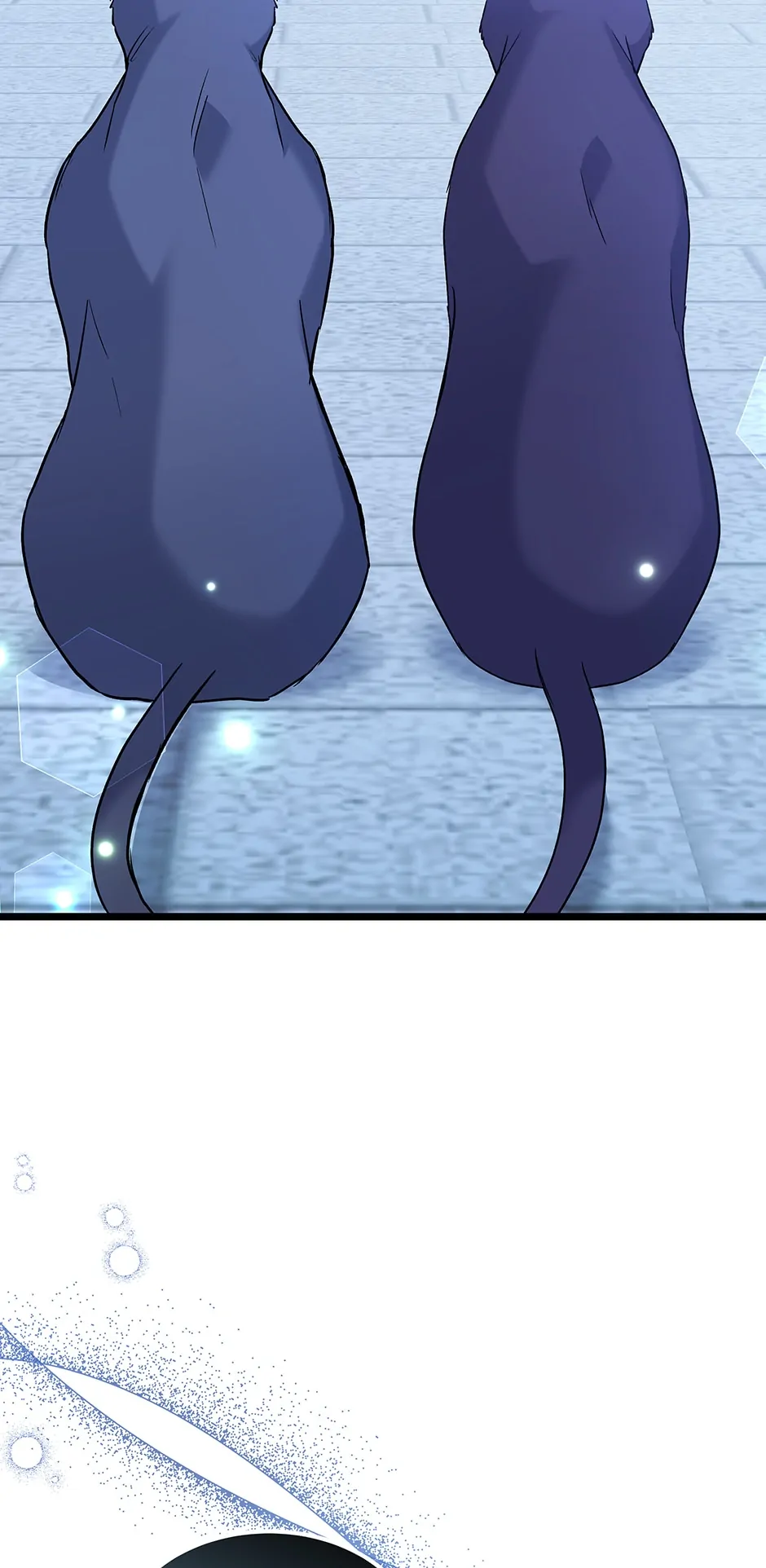 Read The Symbiotic Relationship Between the Rabbit and the Black Panther En Manga Online