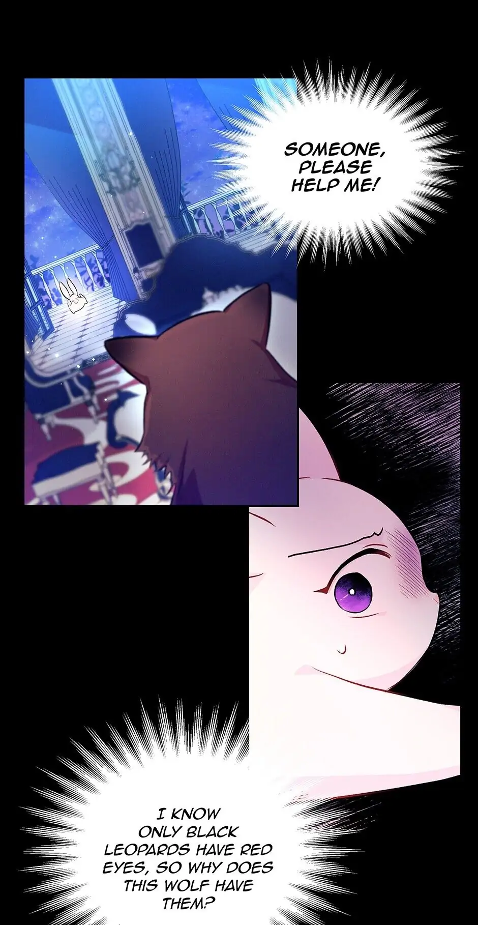 Read The Symbiotic Relationship Between the Rabbit and the Black Panther En Manga Online