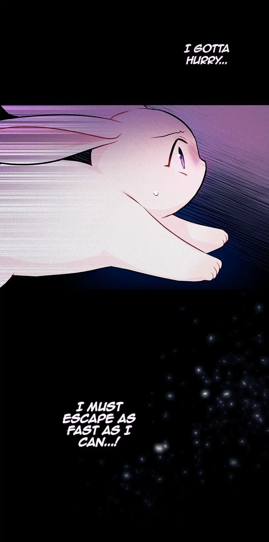 Read The Symbiotic Relationship Between the Rabbit and the Black Panther En Manga Online