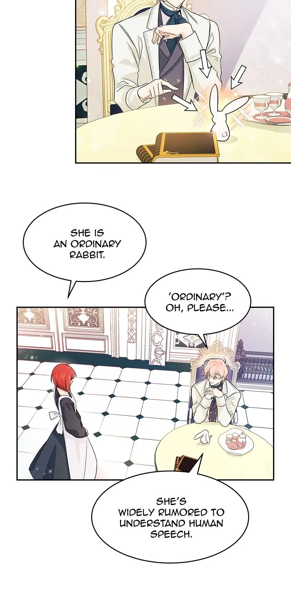 Read The Symbiotic Relationship Between the Rabbit and the Black Panther En Manga Online