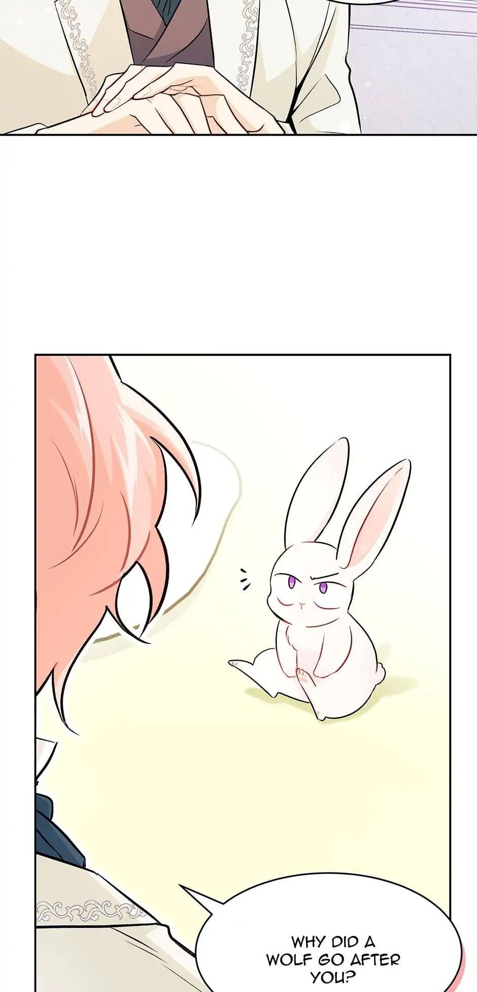Read The Symbiotic Relationship Between the Rabbit and the Black Panther En Manga Online