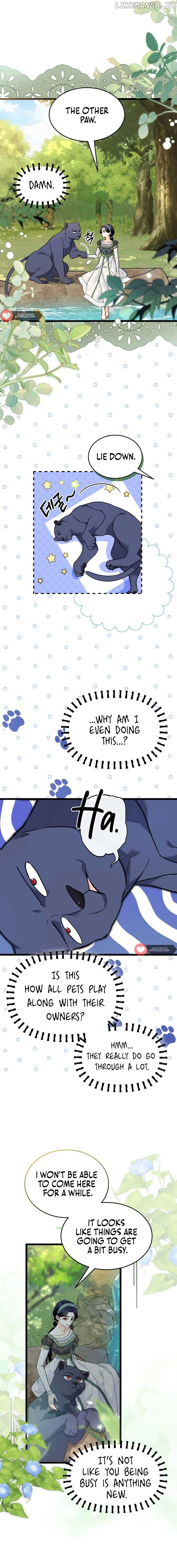 Read The Symbiotic Relationship Between the Rabbit and the Black Panther En Manga Online