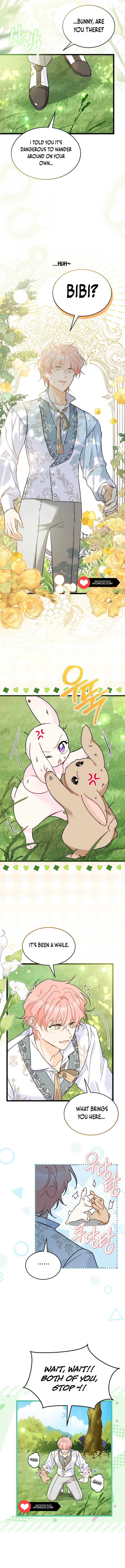Read The Symbiotic Relationship Between the Rabbit and the Black Panther En Manga Online