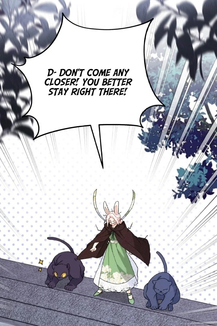 Read The Symbiotic Relationship Between the Rabbit and the Black Panther En Manga Online