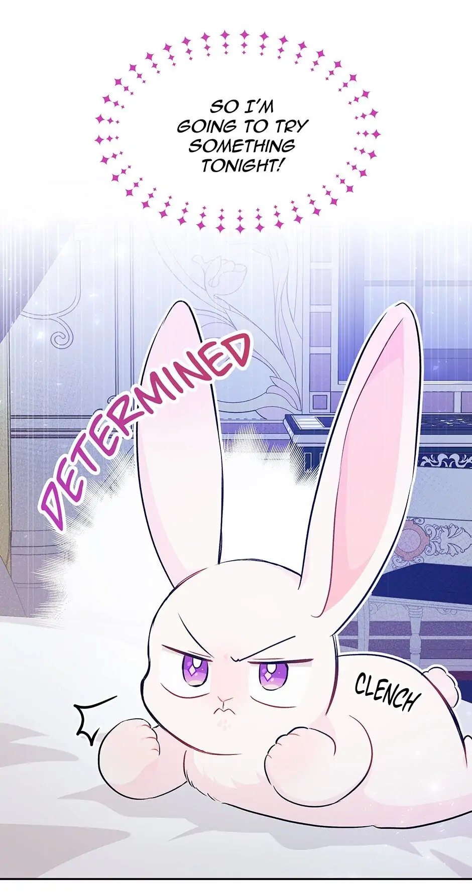 Read The Symbiotic Relationship Between the Rabbit and the Black Panther En Manga Online