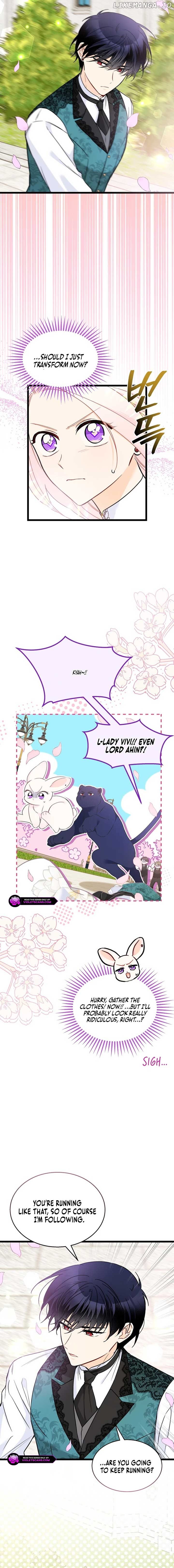 Read The Symbiotic Relationship Between the Rabbit and the Black Panther En Manga Online