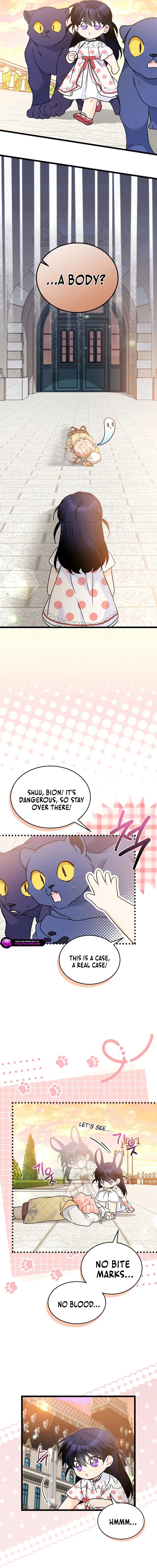 Read The Symbiotic Relationship Between the Rabbit and the Black Panther En Manga Online