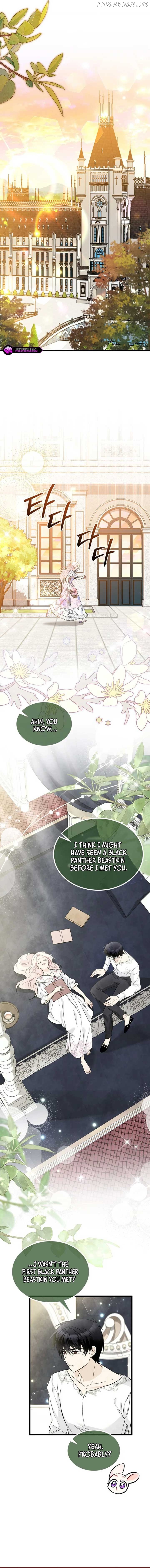 Read The Symbiotic Relationship Between the Rabbit and the Black Panther En Manga Online