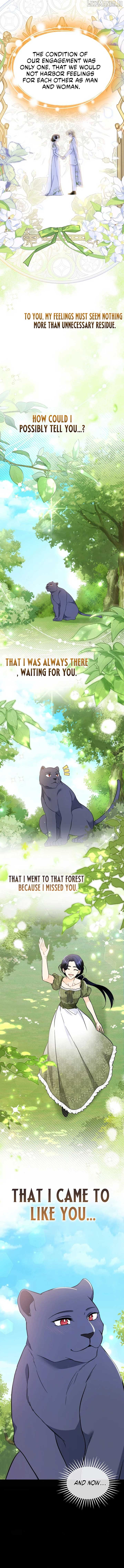 Read The Symbiotic Relationship Between the Rabbit and the Black Panther En Manga Online