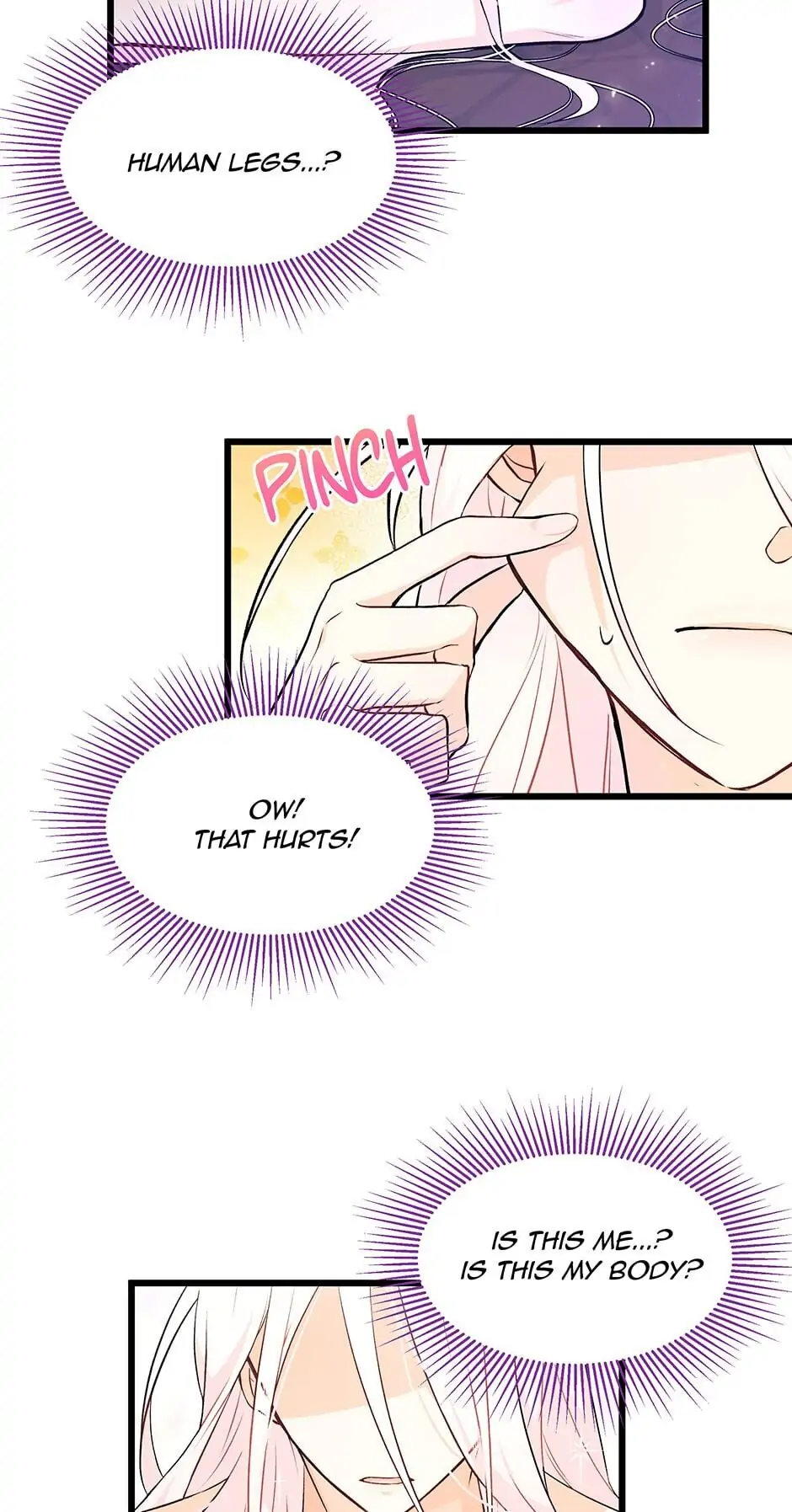 Read The Symbiotic Relationship Between the Rabbit and the Black Panther En Manga Online