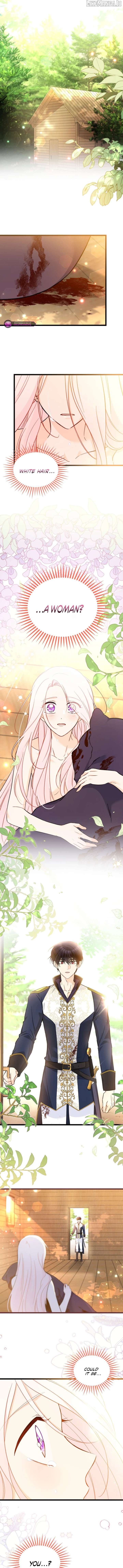 Read The Symbiotic Relationship Between the Rabbit and the Black Panther En Manga Online