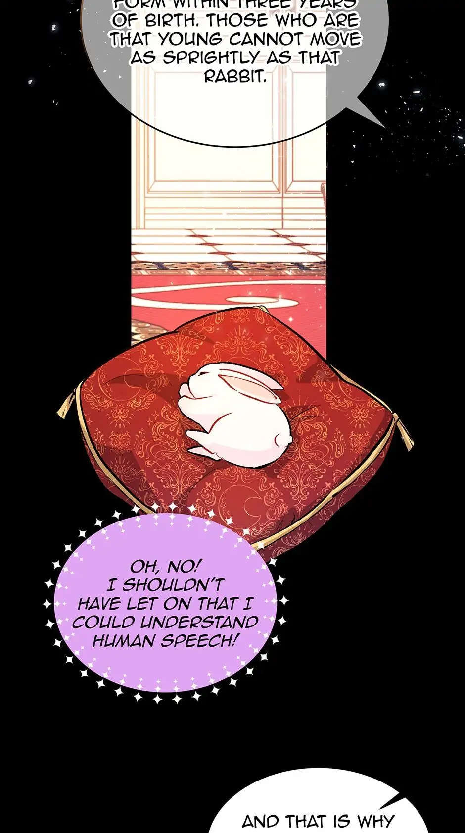 Read The Symbiotic Relationship Between the Rabbit and the Black Panther En Manga Online