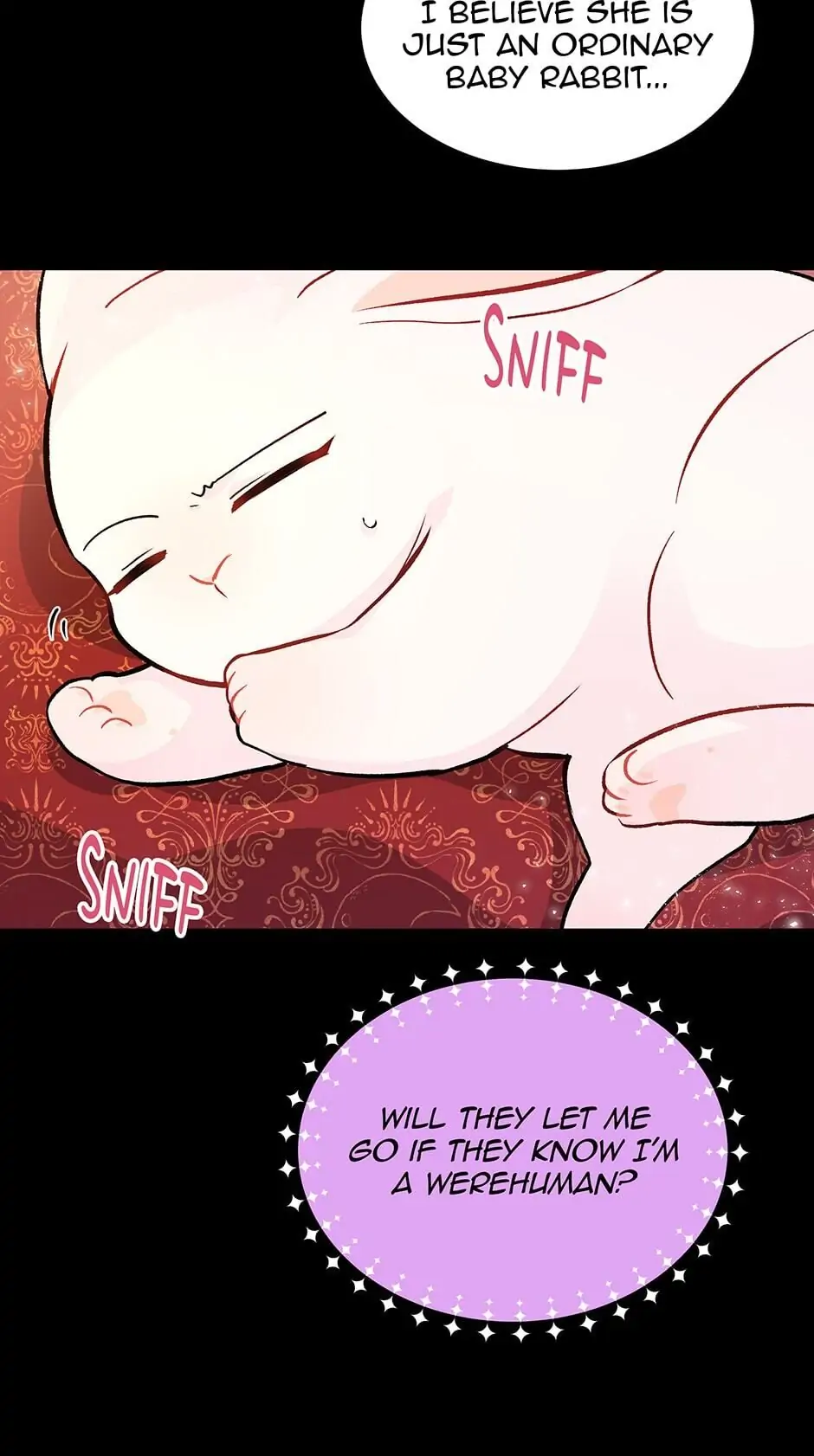 Read The Symbiotic Relationship Between the Rabbit and the Black Panther En Manga Online