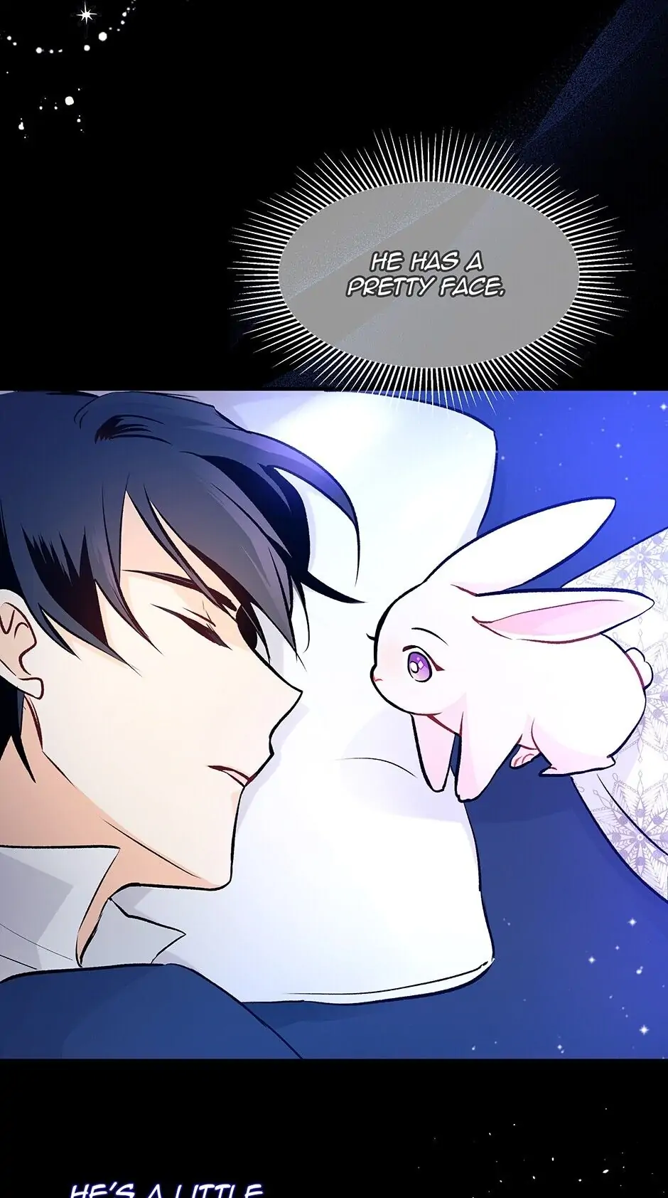 Read The Symbiotic Relationship Between the Rabbit and the Black Panther En Manga Online
