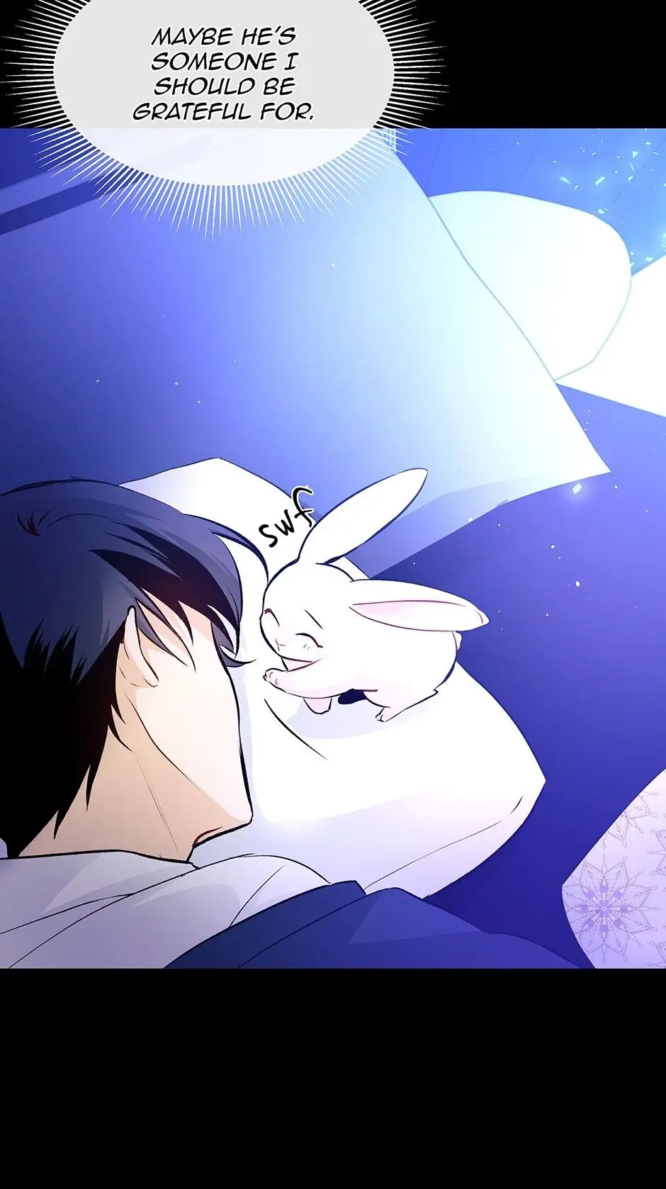 Read The Symbiotic Relationship Between the Rabbit and the Black Panther En Manga Online