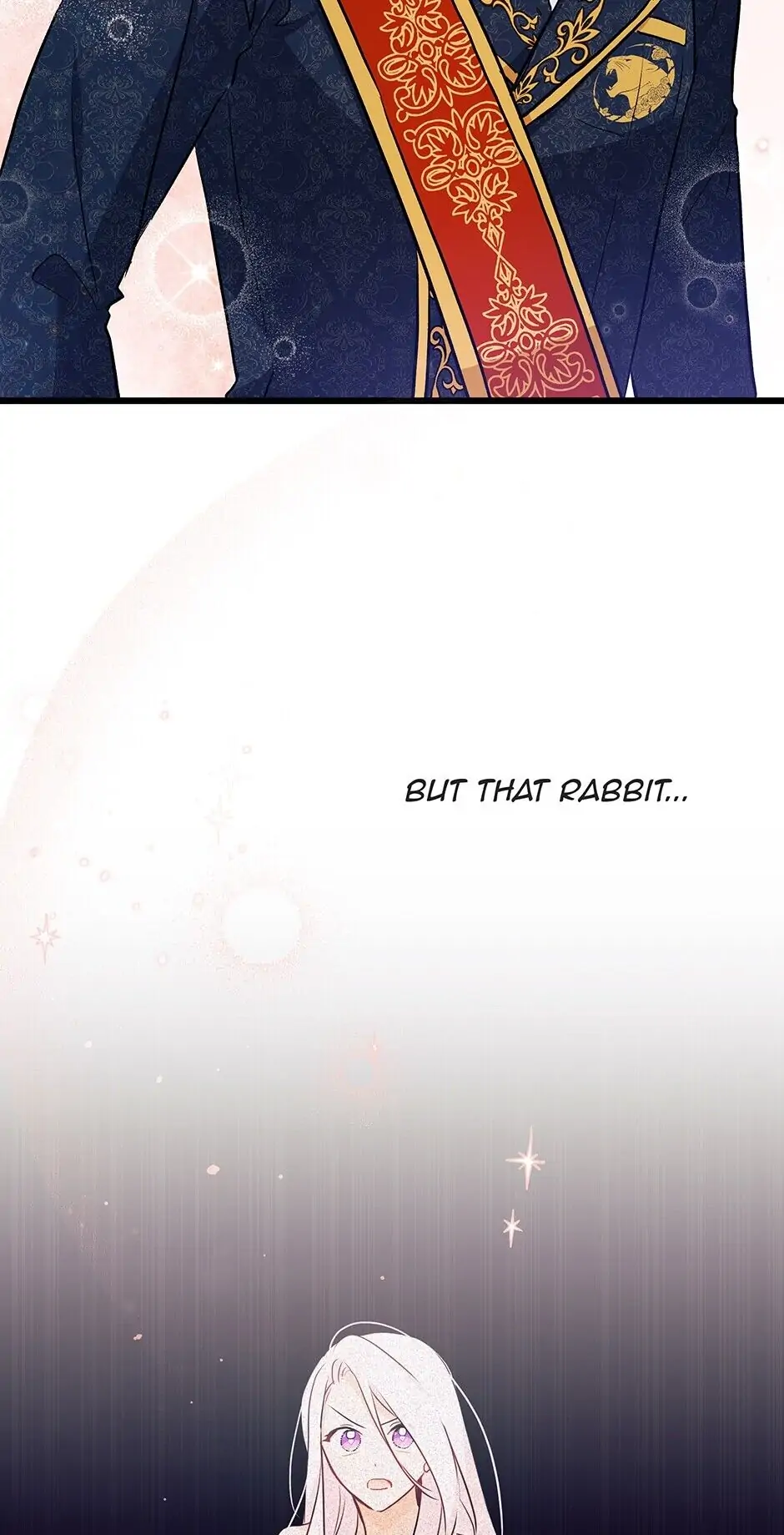 Read The Symbiotic Relationship Between the Rabbit and the Black Panther En Manga Online