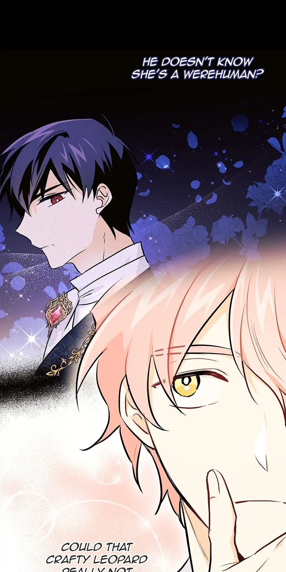 Read The Symbiotic Relationship Between the Rabbit and the Black Panther En Manga Online