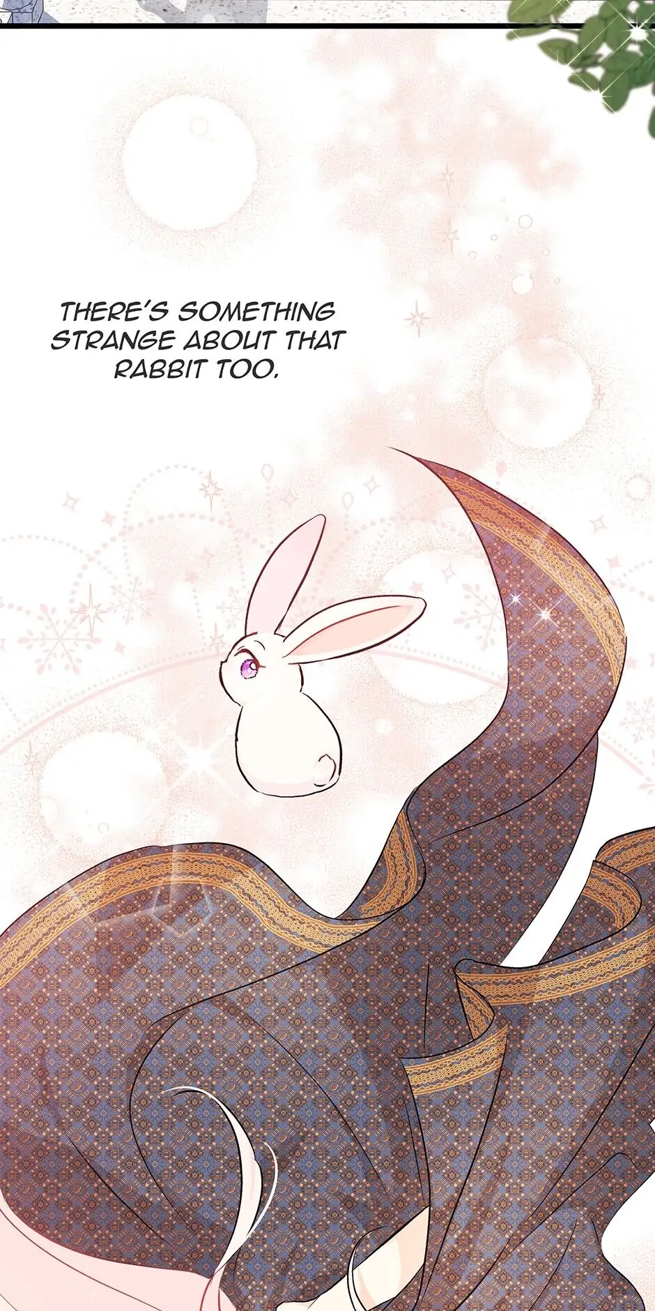 Read The Symbiotic Relationship Between the Rabbit and the Black Panther En Manga Online