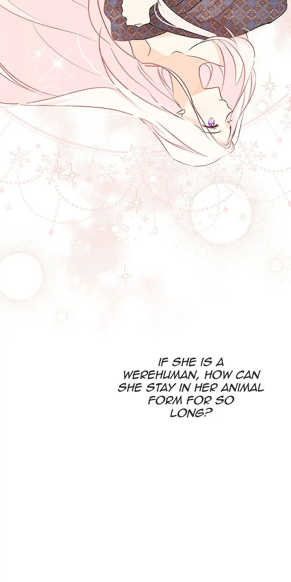 Read The Symbiotic Relationship Between the Rabbit and the Black Panther En Manga Online