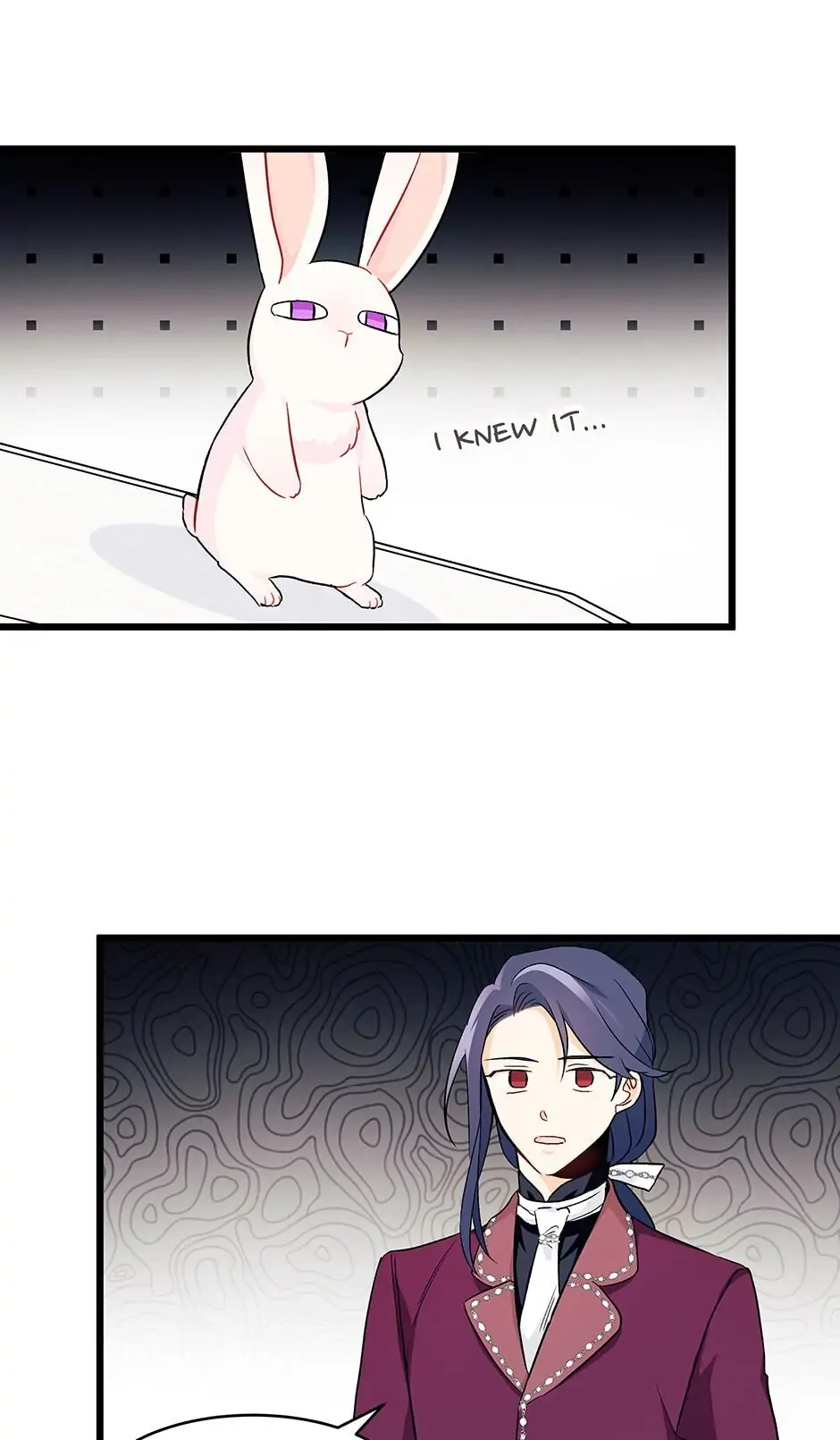 Read The Symbiotic Relationship Between the Rabbit and the Black Panther En Manga Online