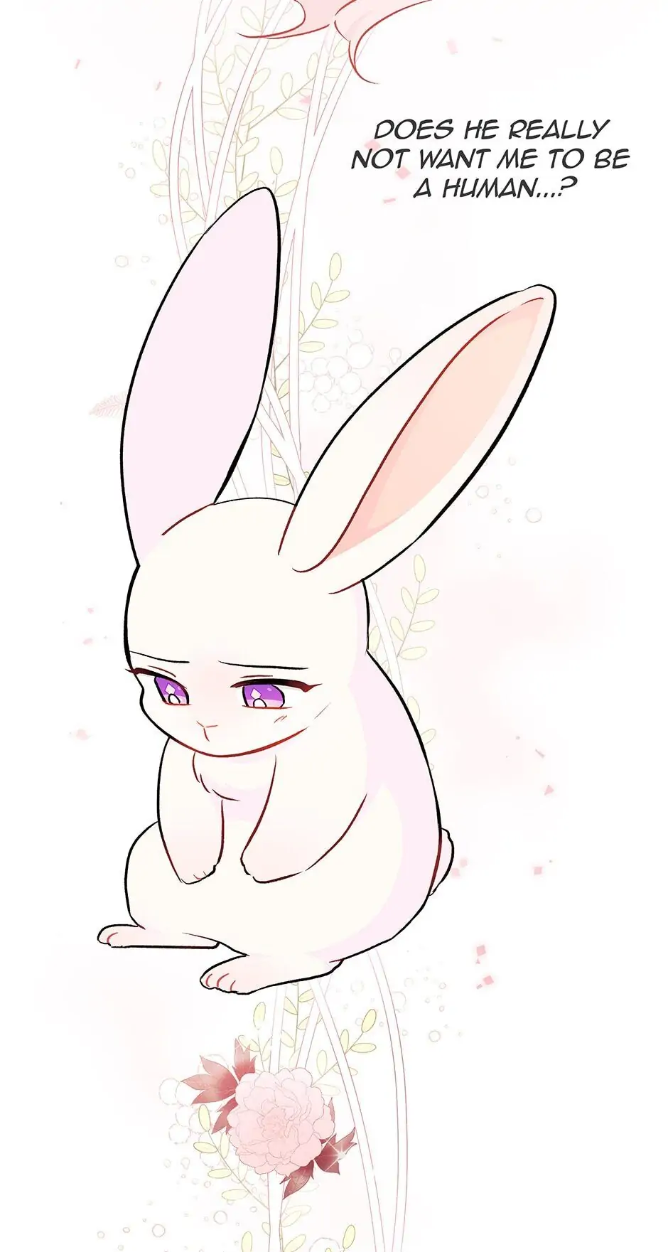 Read The Symbiotic Relationship Between the Rabbit and the Black Panther En Manga Online
