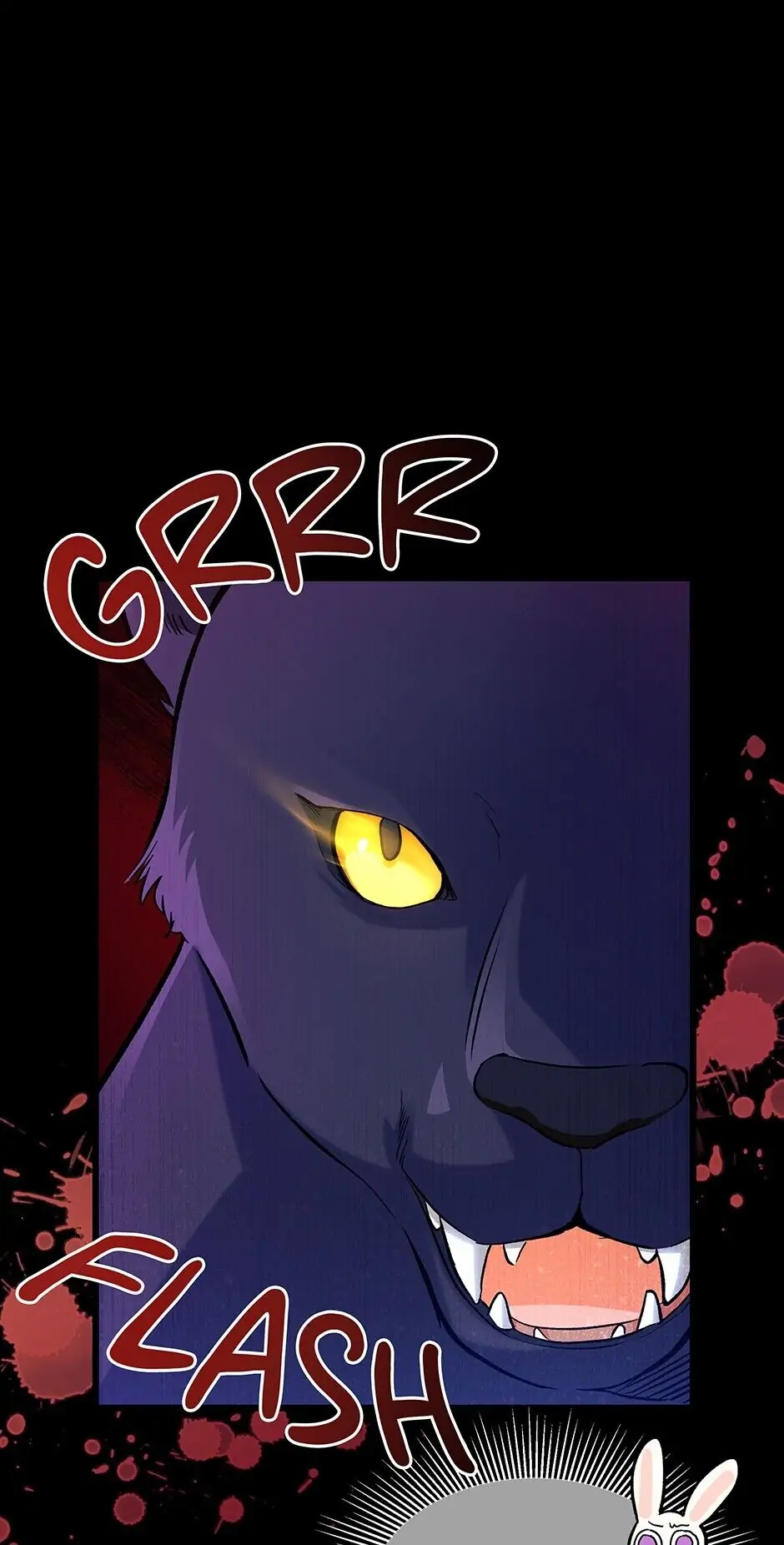 Read The Symbiotic Relationship Between the Rabbit and the Black Panther En Manga Online