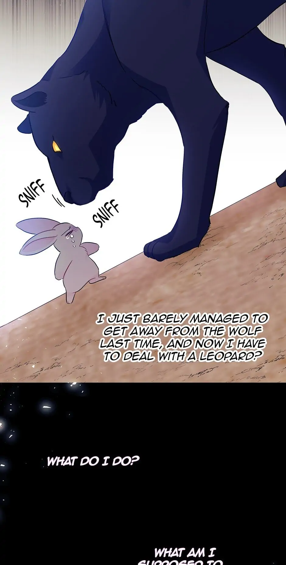 Read The Symbiotic Relationship Between the Rabbit and the Black Panther En Manga Online